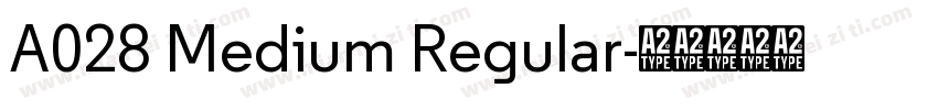 A028 Medium Regular字体转换